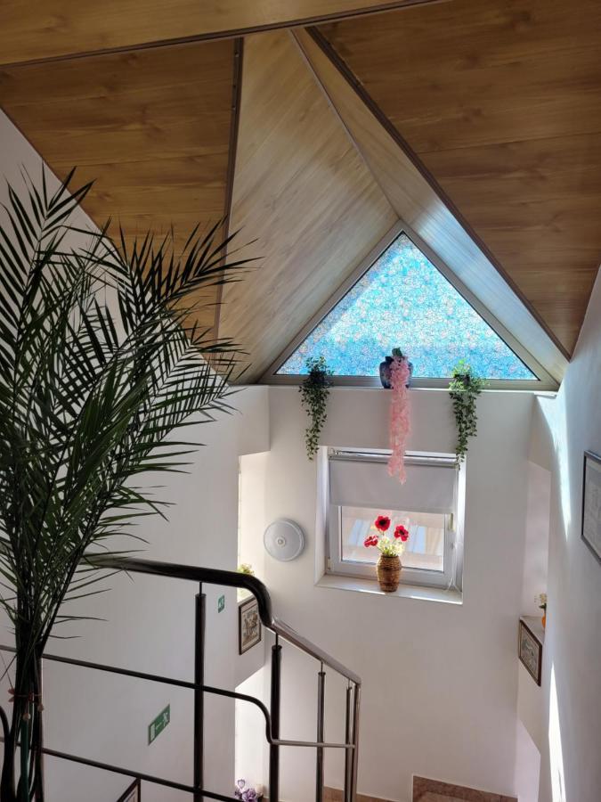 Hôtel Vila Liz Eforie Nord Extérieur photo