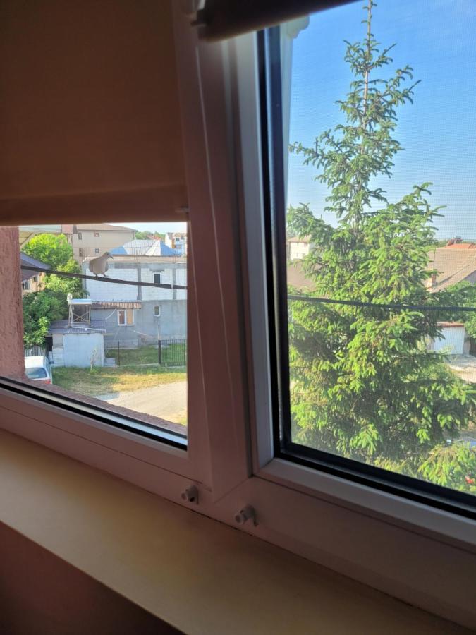 Hôtel Vila Liz Eforie Nord Extérieur photo