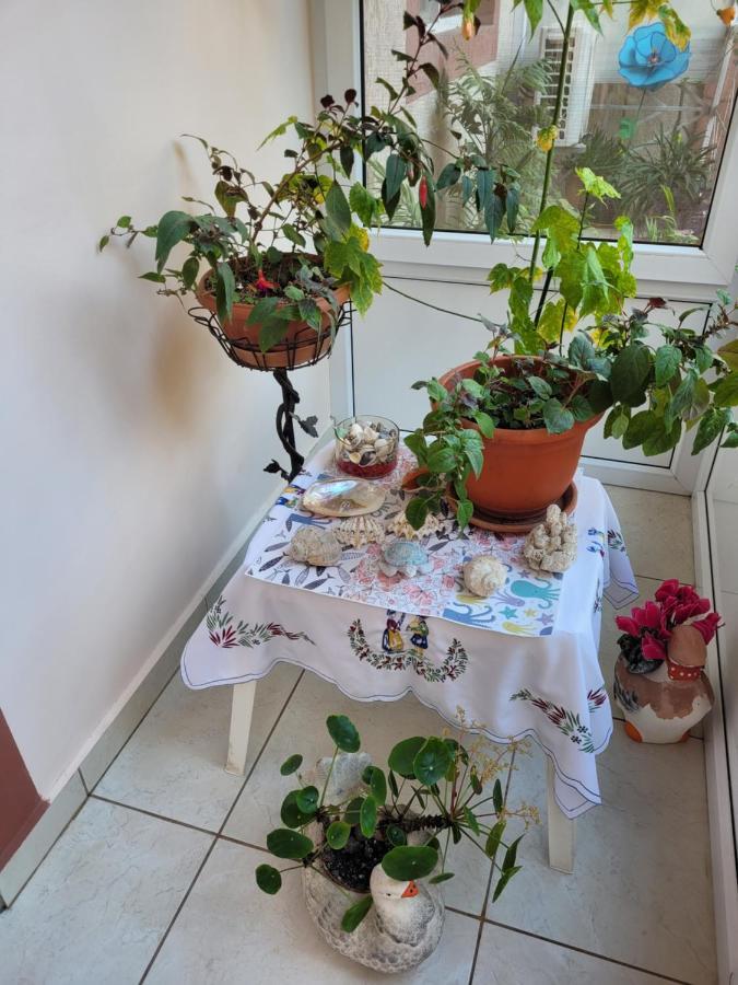 Hôtel Vila Liz Eforie Nord Extérieur photo